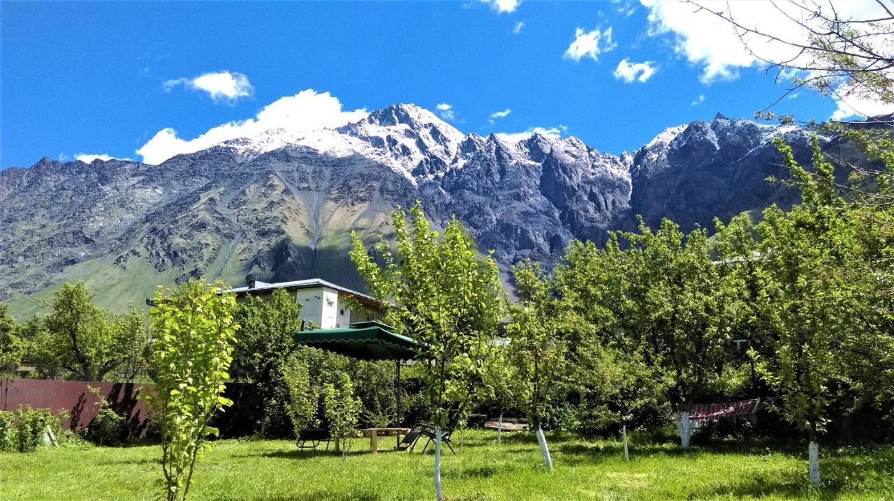 Kazbegi Green Yard Extérieur photo